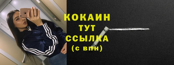 ГАЛЛЮЦИНОГЕННЫЕ ГРИБЫ Абаза
