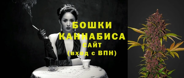 ГАЛЛЮЦИНОГЕННЫЕ ГРИБЫ Абаза