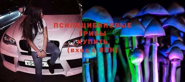 прущие крисы Абинск