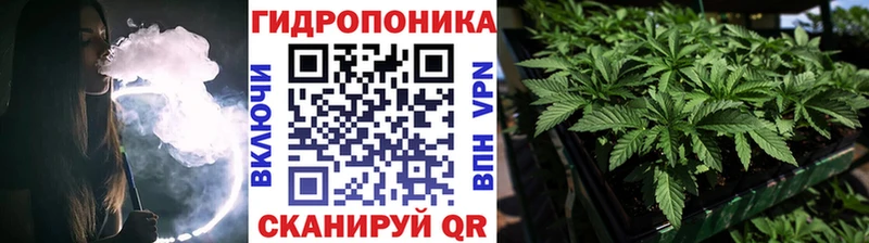 Бошки Шишки SATIVA & INDICA  Тайга 